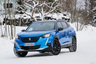 Peugeot e-2008 – Kisun tassuja palelee