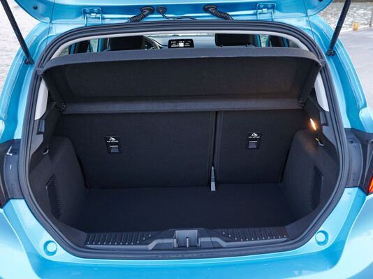 Ford Fiesta Flexifuel - tankatessa omistaja voi hymyillä