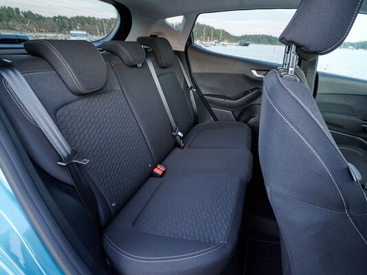 Ford Fiesta Flexifuel - tankatessa omistaja voi hymyillä