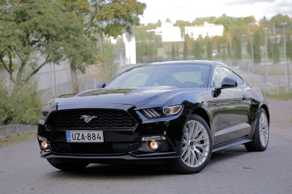 Ford Mustang - Kuohittu villihevonen